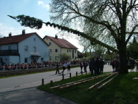 2006_Maibaum_049