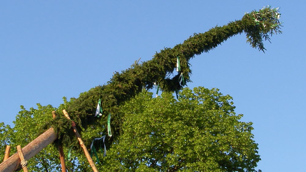 2007_Maibaum_058