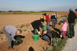 2013-10-05_Kartoffelfest (150)