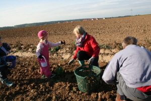 2013-10-05_Kartoffelfest (159)