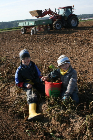 2013-10-05_Kartoffelfest (165)