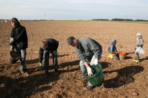 2013-10-05_Kartoffelfest (182)