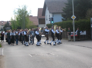 Maibaum 2008002