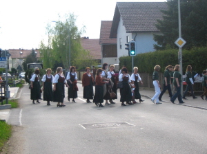 Maibaum 2008003