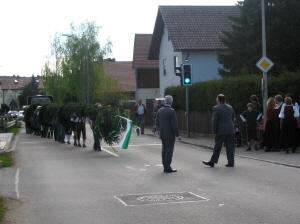 Maibaum 2008004