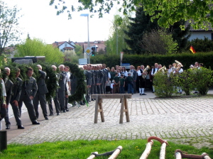 Maibaum 2008006