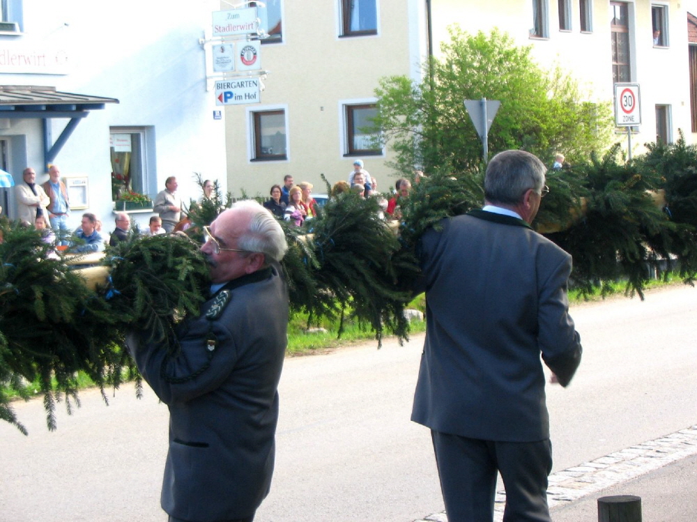 Maibaum 2008007