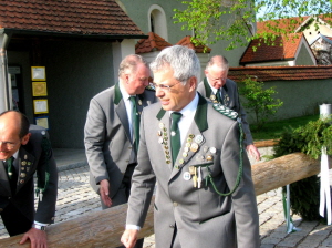 Maibaum 2008009