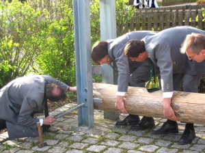 Maibaum 2008010