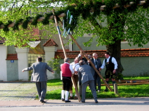 Maibaum 2008013