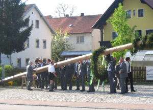 Maibaum 2008014