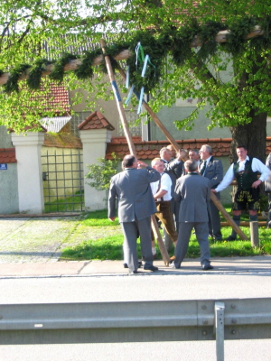 Maibaum 2008015