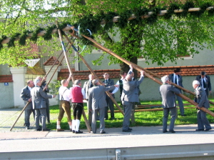 Maibaum 2008016