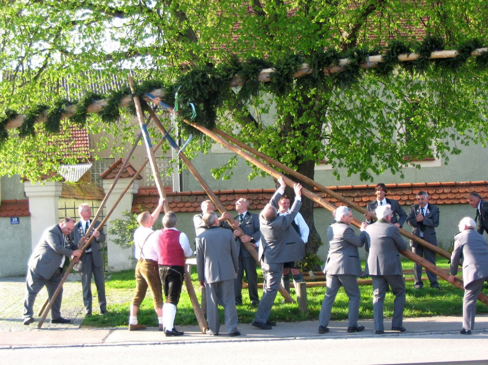 Maibaum 2008017