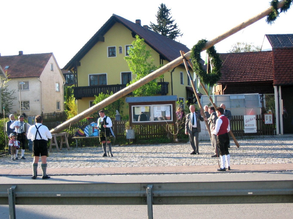 Maibaum 2008018