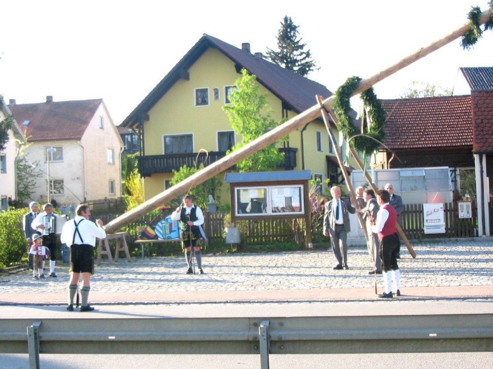 Maibaum 2008019