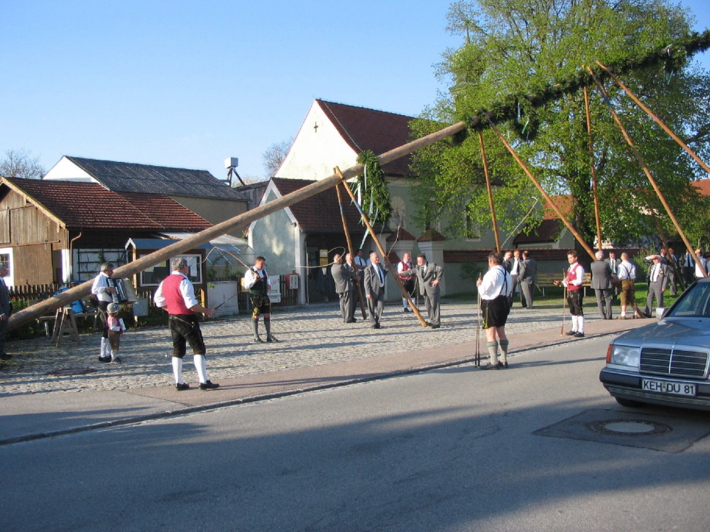 Maibaum 2008020