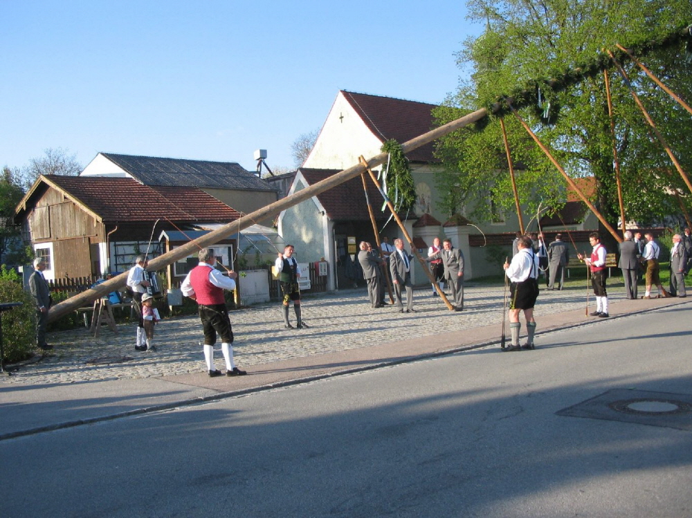 Maibaum 2008021