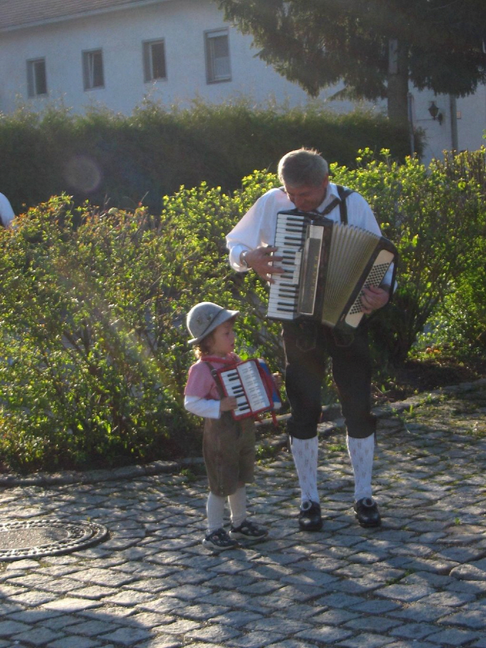 Maibaum 2008025