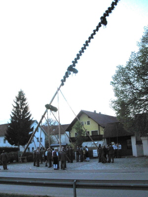 Maibaum 2008028